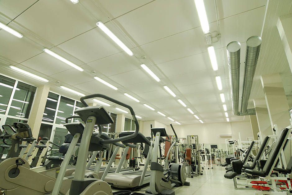 La palestra